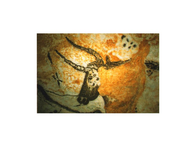 taureau Lascaux 2.jpg